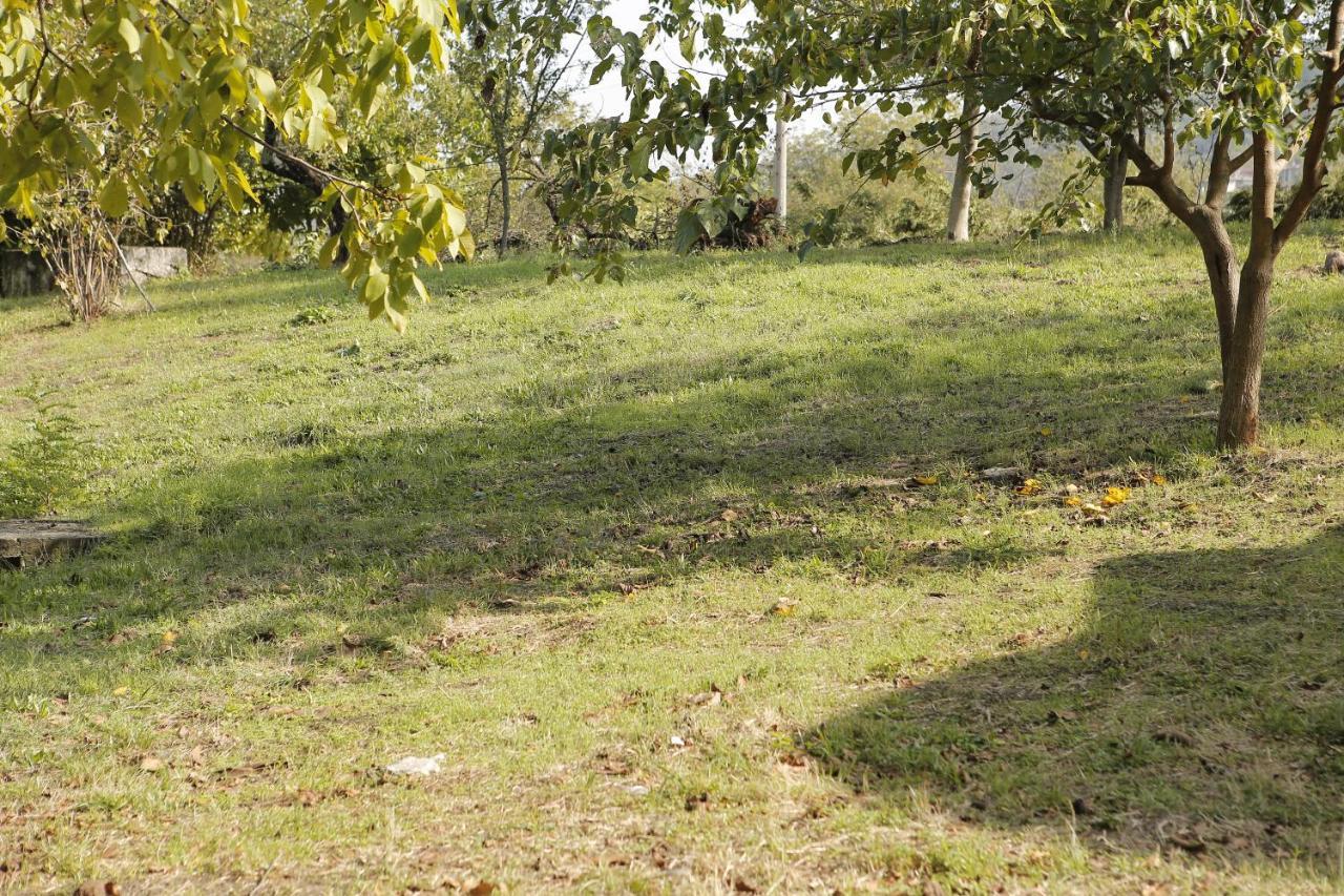 Hypnos Sapanca Glamping & Spa سبانجا المظهر الخارجي الصورة