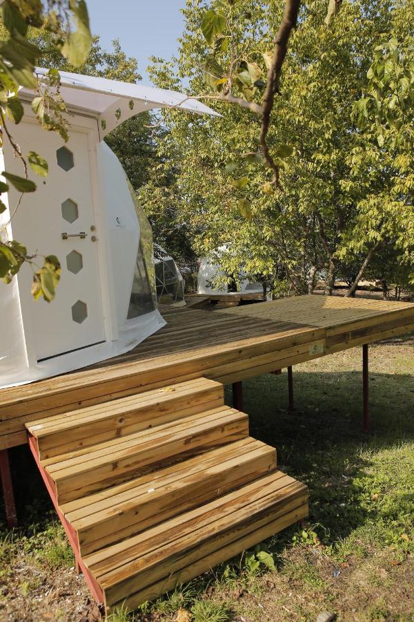 Hypnos Sapanca Glamping & Spa سبانجا المظهر الخارجي الصورة