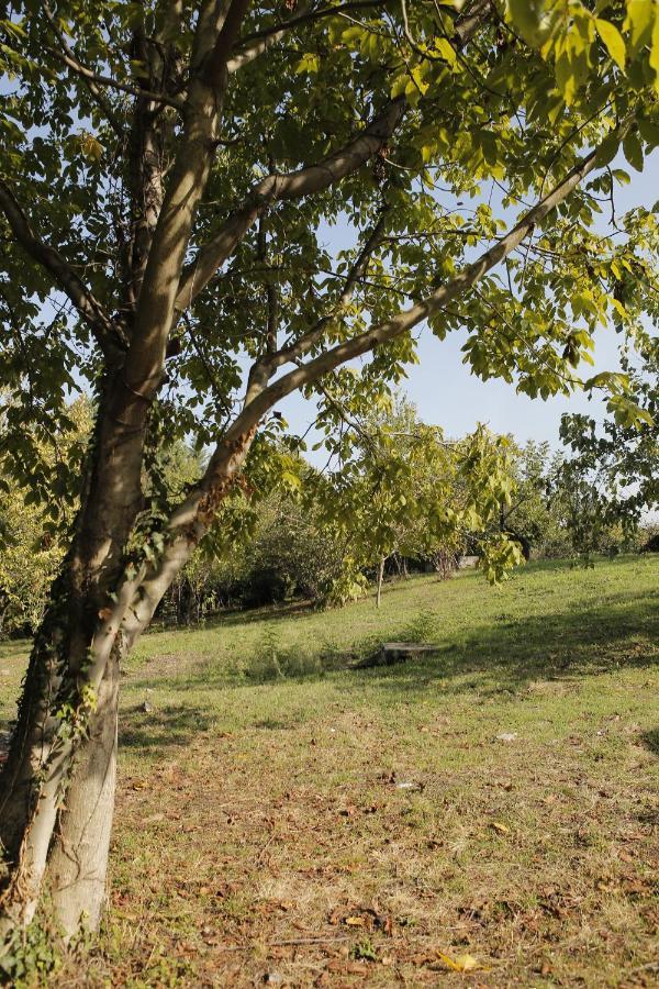 Hypnos Sapanca Glamping & Spa سبانجا المظهر الخارجي الصورة